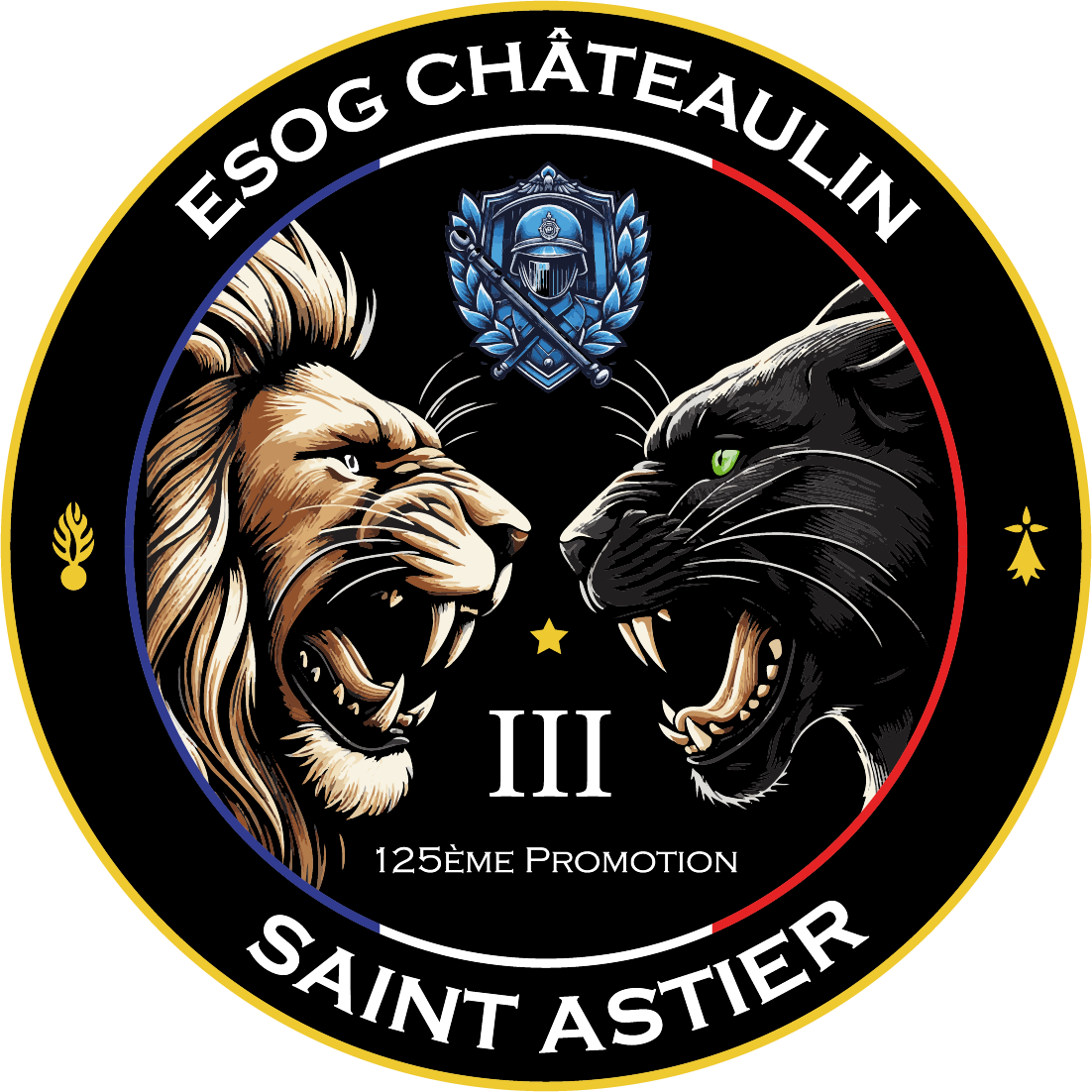 rondache saint astier